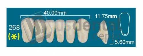 RAFAEL 268 Lower Anterior A2 (1 X 6)  Rafael 2 layers Denture Acrylic Teeth - Cross linked & Fluorescent with great abrasion resistance