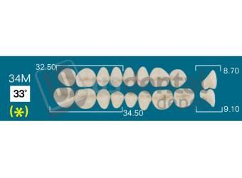 RAFAEL 34M Upper Posteriors C3 (1 X 6) 33 degrees  Rafael 2 layers Denture Acrylic Teeth - Cross linked & Fluorescent with great abrasion resistance