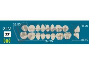 RAFAEL- 34M Upper Posteriors D2 (1 X 6) 33 degrees  Rafael 2 layers Denture Acrylic Teeth - Cross linked & Fluorescent with great abrasion resistance