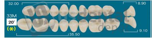 RAFAEL 33M Upper Posteriors A2 (1 X 6) 20 degrees  Rafael 2 layers Denture Acrylic Teeth - Cross linked & Fluorescent with great abrasion resistance