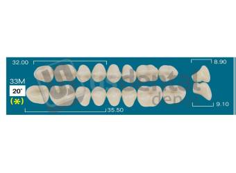 RAFAEL 33M Upper Posteriors B3 (1 X 6) 20 degrees  Rafael 2 layers Denture Acrylic Teeth - Cross linked & Fluorescent with great abrasion resistance