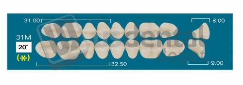 RAFAEL 31M Lower Posterior D2 (1 X 6) 20 degrees  Rafael 2 layers Denture Acrylic Teeth - Cross linked & Fluorescent with great abrasion resistance