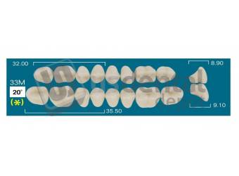 RAFAEL 33M Lower Posterior A0 (1 X 6) 20 degrees  Rafael 2 layers Denture Acrylic Teeth - Cross linked & Fluorescent with great abrasion resistance