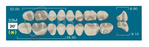 RAFAEL 33M Lower Posterior A1 (1 X 6) 20 degrees  Rafael 2 layers Denture Acrylic Teeth - Cross linked & Fluorescent with great abrasion resistance