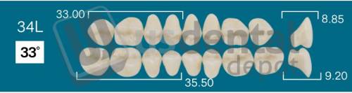 RAFAEL 34L Upper Posteriors A3 (1 X 6) 33 degrees  Rafael 2 layers Denture Acrylic Teeth - Cross linked & Fluorescent with great abrasion resistance