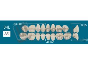 RAFAEL 34L Lower Posterior A3.5 (1 X 6) 33 degrees  Rafael 2 layers Denture Acrylic Teeth - Cross linked & Fluorescent with great abrasion resistance