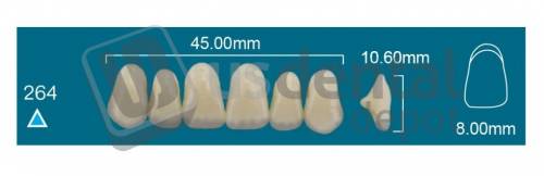 RAFAEL- 264 Upper Anterior C3 (1 X 6)  Rafael 2 layers Denture Acrylic Teeth - Cross linked & Fluorescent with great abrasion resistance