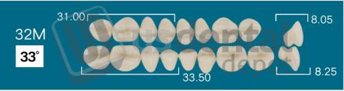 RAFAEL 32M Lower Posterior A3 (1 X 6)  Rafael 2 layers Denture Acrylic Teeth - Cross linked & Fluorescent with great abrasion resistance