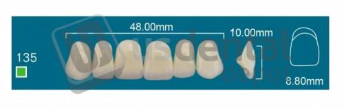 RAFAEL135 Upper Anterior A0 (1 X 6) - Square  Rafael 2 layers Denture Acrylic Teeth - Cross linked & Fluorescent with great abrasion resistance