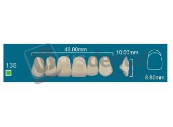RAFAEL135 Upper Anterior A3.5 (1 X 6) - Square  Rafael 2 layers Denture Acrylic Teeth - Cross linked & Fluorescent with great abrasion resistance