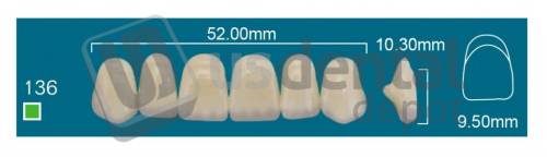 RAFAEL 136 Upper Anterior A0 (1 X 6) - Square  Rafael 2 layers Denture Acrylic Teeth - Cross linked & Fluorescent with great abrasion resistance