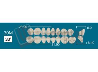 RAFAEL 30M Upper Posteriors B3 (1 X 6)  Rafael 2 layers Denture Acrylic Teeth - Cross linked & Fluorescent with great abrasion resistance