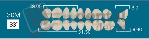 RAFAEL 30M Lower Posterior B2 (1 X 6)  Rafael 2 layers Denture Acrylic Teeth - Cross linked & Fluorescent with great abrasion resistance