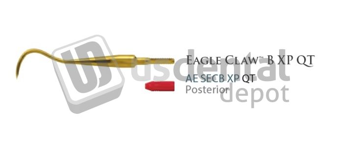 QUICK TIP SCALER EAGLE CLAW B | AMERICAN EAGLE # AESECBXPQT | US Dental ...