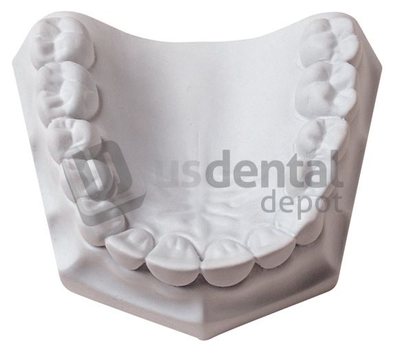 MOUNTING PLASTER WHIP MIX 330090 US Dental Depot