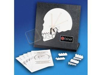 WHIP-MIX Tmj Tutor Kit - #650000 ( Accessories for Adaptability for Articulators)