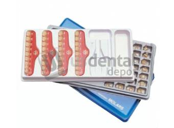 DIRECTA - Directa Temporary Crowns Assortment Kit 4-5-6, Polycarbonate, Kit of 60 - #609201