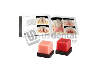 RENFERT -  GEO Expert Gingiva Set A English EACH - #6340801