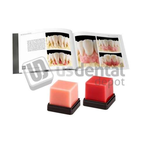 RENFERT -  GEO Expert Gingiva Set A English EACH - #6340801