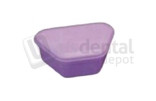 PLASDENT ProBath Denture Boxes, Color: PURPLE Gala, Heavyga, Soft Plastic, 2in  Deep, 12pk . #200PBH-10P