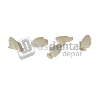 MARK3 #41 Polycarbonate Crown Form, 5pk  1st Bicuspid. Universal shade - #P41