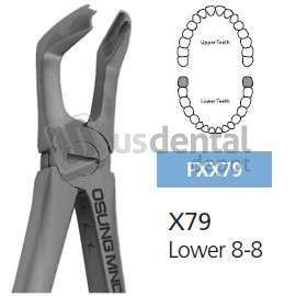 OSUNG  X79 Extraction Forcep Lower 8-8 for adults. Smaller pattern than HU-FRIEDY #FXX79