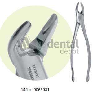 PREMIER  #151 Universal Extraction Forceps for Lower Incisors, Cuspids - #9065031