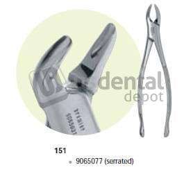 PREMIER  #151 Mandibular Extraction Forceps, Serrated, for Lower Roots - #9065077