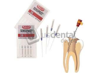 PREMIER SensiPast #40 21mm Root Fillers, Has a Miniature Clutch in the mandrel - #9053574