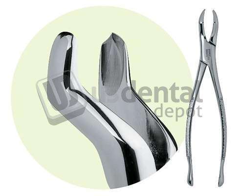 PREMIER  #53L Maxillary Forceps, for 1st and 2nd Molars - #9065015