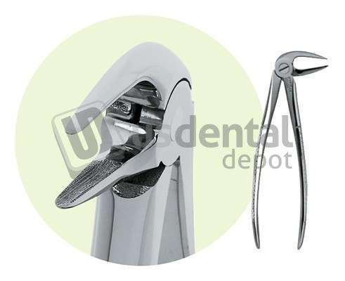 PREMIER  Lower Root Grip Root Forceps - #9065044