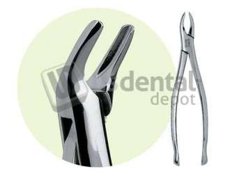 PREMIER  #101 Maxillary Extracting Forceps, for Premolars - #9065028