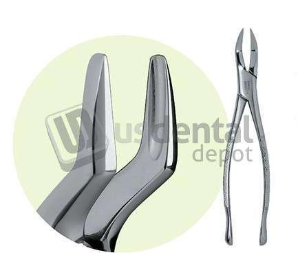 PREMIER  #65 Maxillary Roots Extracting Forceps, For Roots and Incisors - #9065018