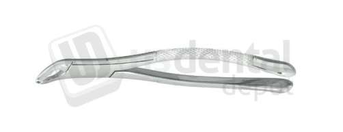 NORDENT #151AS (serrated) Lower Universal Anatomical Extracting Forceps - #FE151AS