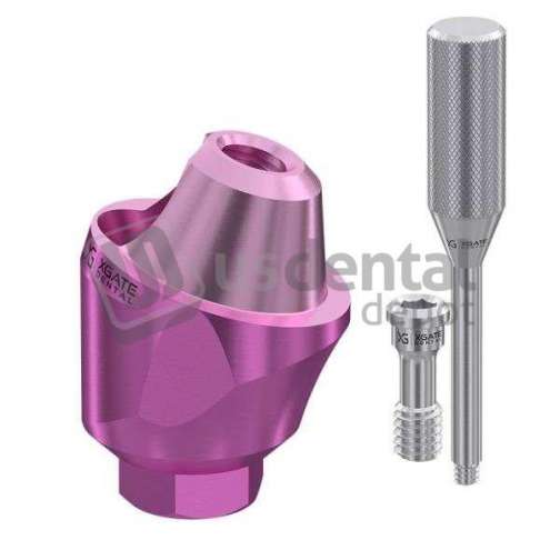 XGATE - IntHex 17° Angled d Multi Unit Abutment MUA D-type - Angled 17deg - H3mm - Hex 2.42mm - 3.5mm Platform  D  - #UAMD-1703 - #UAMD-1703 - COMPATIBILITY ZIMMER- MIS- AB - Adin- Alpha Bio- Cortex, Implant direct ( Legacy ), Bio Horizon, AlLIsraeli Internal Hex -