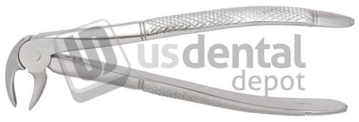 NORDENT - Extraction Forceps, Lower Bicuspid English Pattern #13 - Surgical - # FE13