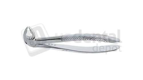 NORDENT - Extraction Forceps, Serrated, Lower Bicuspid English Pattern #13 - Surgical - # FE13-SER