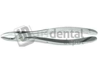 NORDENT - Extraction Forceps, Serrated, Upper Anterior English Pattern #1 -  - Surgical - # FE1X-SER