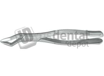 NORDENT - Extraction Forceps, Serrated, Upper Universal Bicuspids #32 -  - Surgical - # FE32-SER