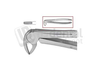 NORDENT - Extraction Forceps, Serrated, lower Roots English Pattern #33 - Surgical - # FE33-SER