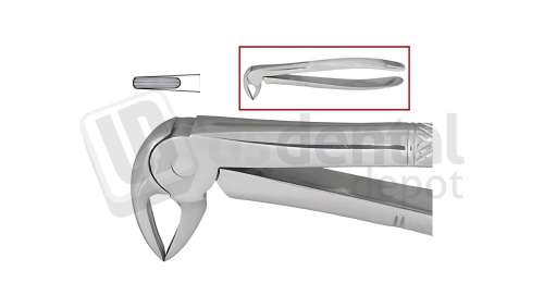 NORDENT - Extraction Forceps, Serrated, lower Roots English Pattern #33 - Surgical - # FE33-SER