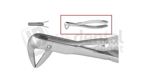 NORDENT - Extraction Forceps, Serrated, Lower Roots Narrow Beaks English Pattern #74N - Surgical - # FE74N-SER