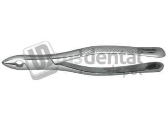 NORDENT - Extraction Forceps, Cuspids and Bicuspids #99C - Surgical - # FE99C