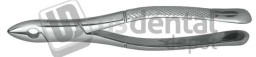 NORDENT - Extraction Forceps, Cuspids and Bicuspids #99C - Surgical - # FE99C