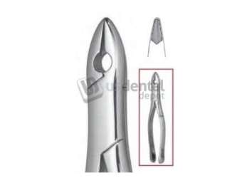 NORDENT - Extraction Forceps, Serrated, Cuspids and Bicuspids #99C - Surgical - # FE99C-SER