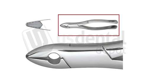 NORDENT - Extraction Forceps, Serrated, Cuspids and Bicuspids #99C - Surgical - # FE99C-SER