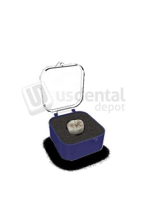 HARVEST DENTAL - Crown Box  1" Rounded  Blue/Clear w/Foam - 1000pk  - # 10641