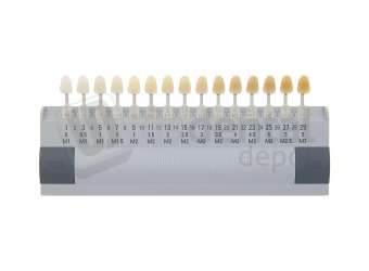 VITA - VITA Bleachedguide 3D-Master - Shade Products - Shade Guide - # B361