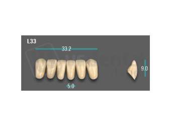 VITA - VIONIC EXCELL DD FRAME Anterior, A1, L33 - Teeth - Vionic Frames - # AGA1L33