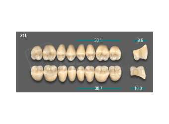 VITA - VIONIC LINGOFORM DD FRAME Posterior, A1, 21L UK                      - Teeth - Vionic Frames - # AGA121LU